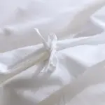 B9e80dcd 468e 42dd 8b2a 9f0b024f26e6