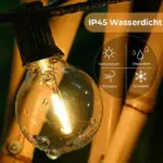 bulb2_1 Bulb2