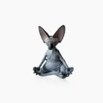 cat1_4f6f4cef-f9aa-46d5-a5ce-c551a5101898 Cat1 4f6f4cef f9aa 46d5 a5ce c551a5101898