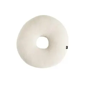Raly Cushion: Limited Edition Cushion with Minimalist Style