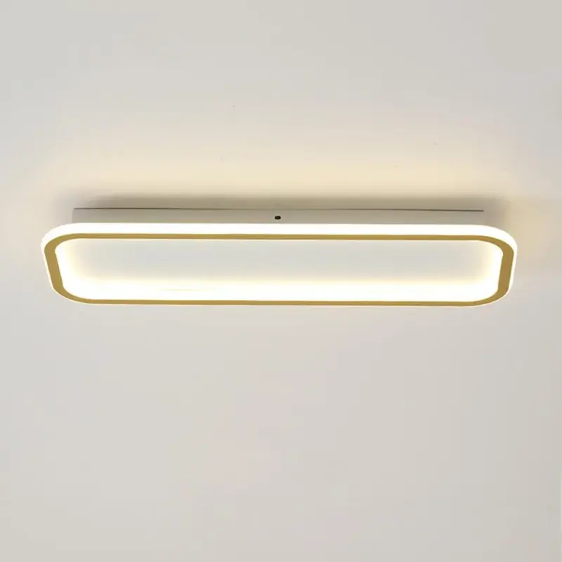 Ceilinglight 11 dcb4adbc e08e 4d5c a7e5 bb3b938ad040