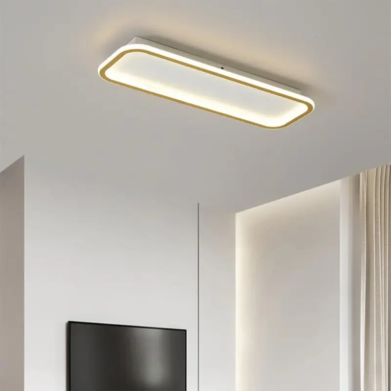 Ceilinglight 2 855d6d2e 1b87 46d7 8127 5e58524dcf01