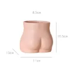 ceramicpinkbodyvase01_f3b33482-e5c6-4690-8fb2-de283119f506 Ceramicpinkbodyvase01 f3b33482 e5c6 4690 8fb2 de283119f506