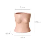 ceramicpinkbodyvase02_8848ca58-6dcd-4c31-9579-af10c9f003d6 Ceramicpinkbodyvase02 8848ca58 6dcd 4c31 9579 af10c9f003d6