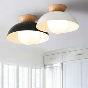 Homeko Eco-friendly Metal Ceiling Light