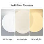 cl0089 Cl0089