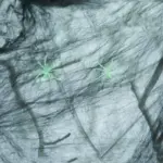 d0df9fc7-a19d-4e53-ae4b-95ff98a3deb4 D0df9fc7 a19d 4e53 ae4b 95ff98a3deb4