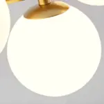 Foto2