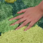 Greenery carpet