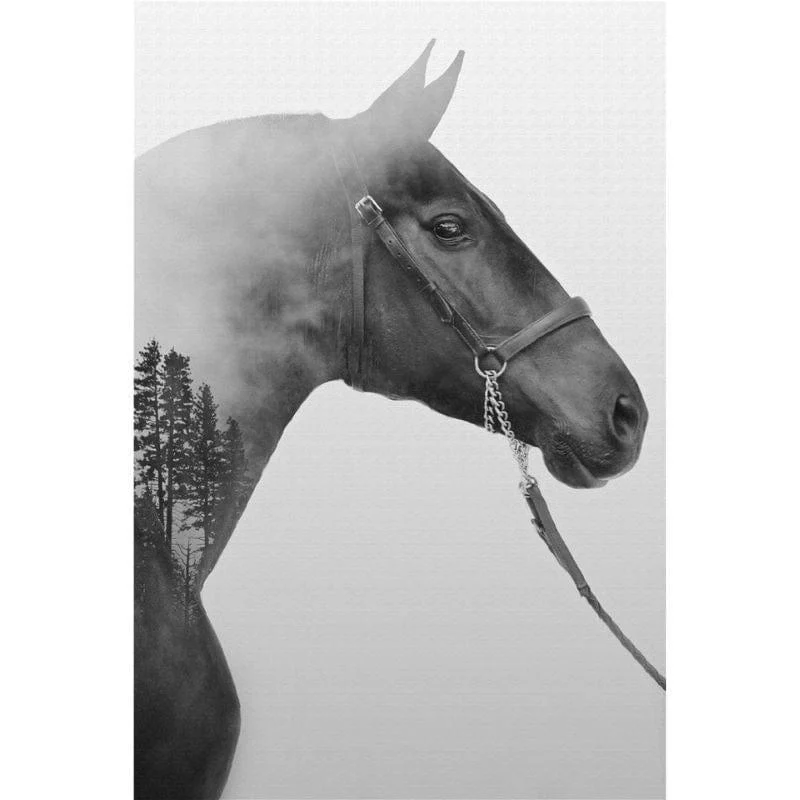 Horse Canvas Mademoiselle Home Decor And Furniture Store 10