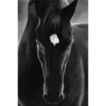 Horse canvas mademoiselle home decor and furniture store