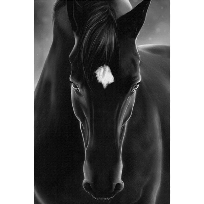 Horse Canvas Mademoiselle Home Decor And Furniture Store 8