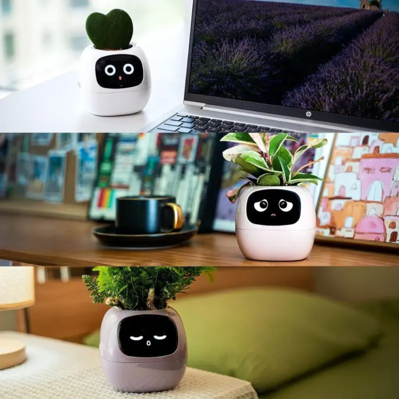 Ivy smart plant pot evolved chargers