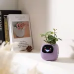 Ivy smart plant pot evolved chargers