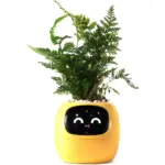 Ivy smart plant pot evolved chargers