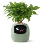 Ivy smart plant pot evolved chargers