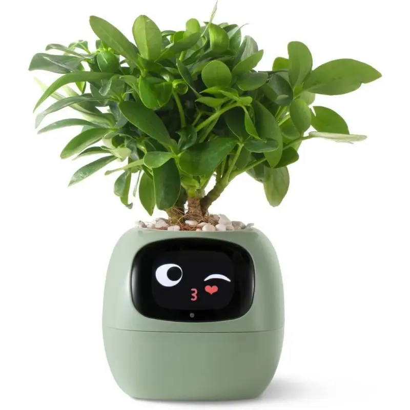 Ivy smart plant pot evolved chargers