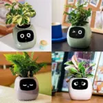Ivy smart plant pot evolved chargers