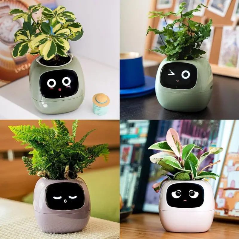 Ivy smart plant pot evolved chargers