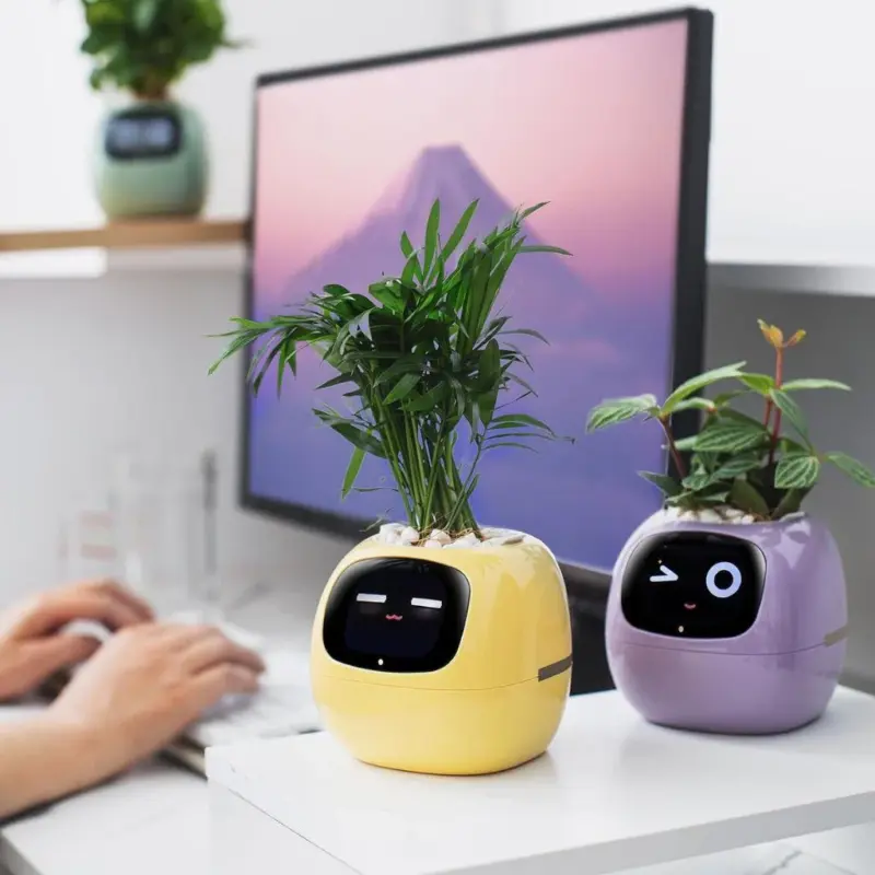 Ivy smart plant pot evolved chargers