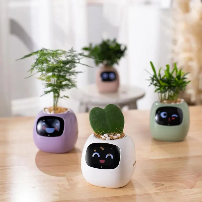 Ivy smart plant pot evolved chargers