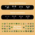 Ivy smart plant pot evolved chargers