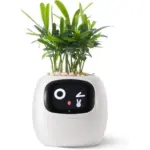 Ivy smart plant pot evolved chargers