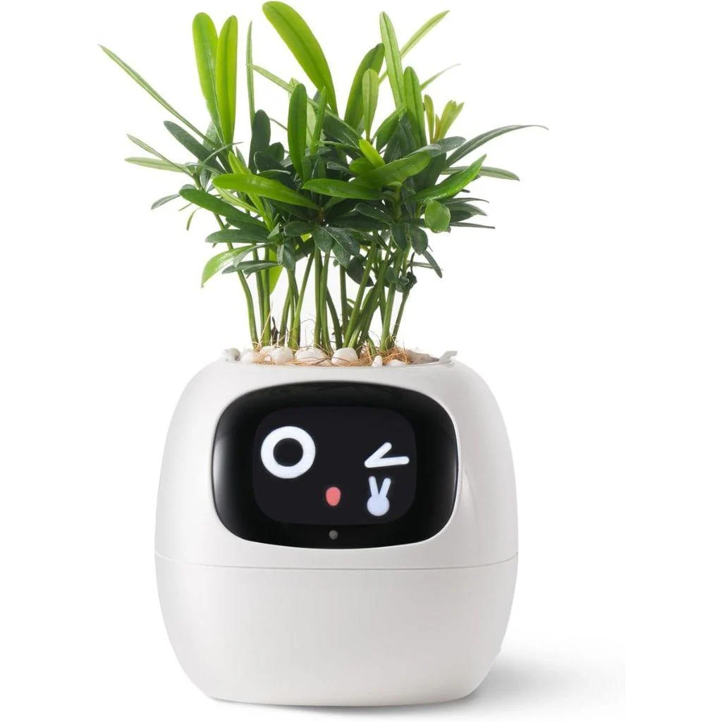 Ivy Smart Plant Pot Evolved Chargers 7