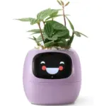 Ivy smart plant pot evolved chargers