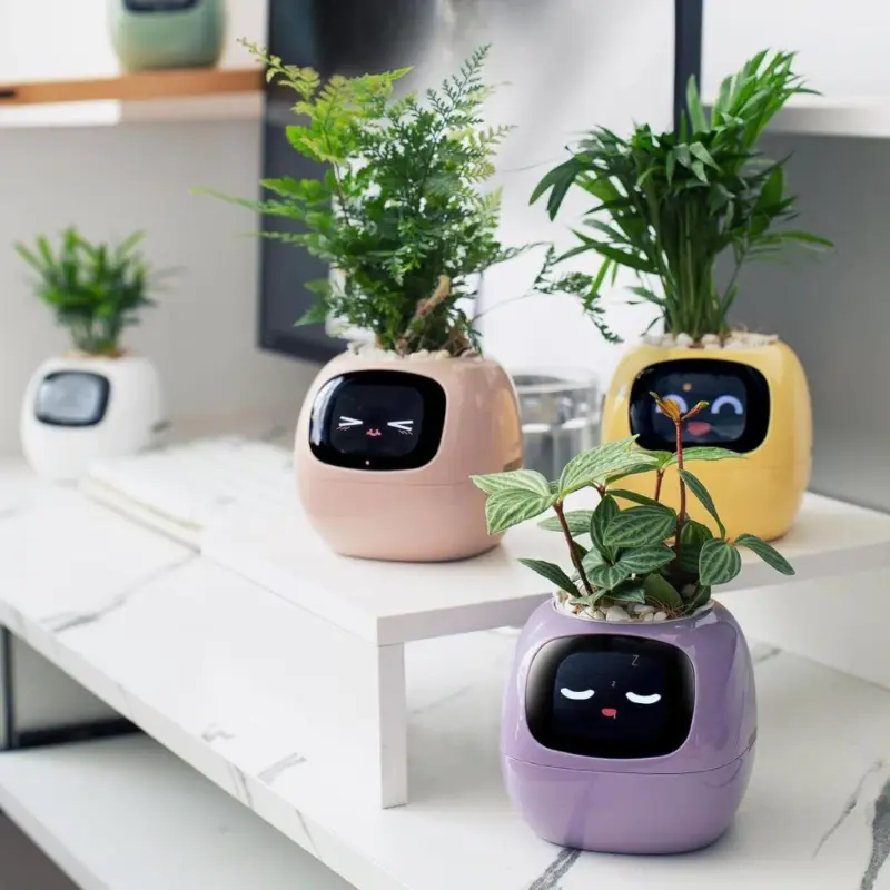 Ivy smart plant pot evolved chargers