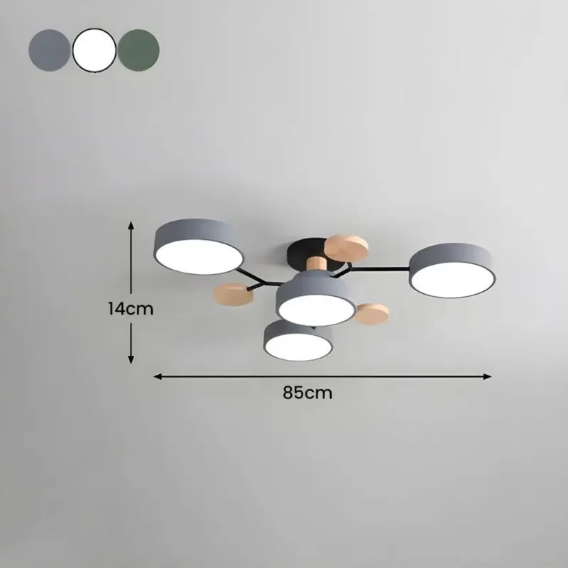 LQLPJwf7e558NnnNBLDNBLCw6BjJ0aEhRBAGVyABk92OAA 1200 1200