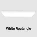 Led ultrathin black and white ceiling light