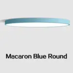 Led ultrathin black and white ceiling light