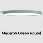 Led ultrathin black and white ceiling light