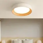 ledceilinglight_11 Ledceilinglight