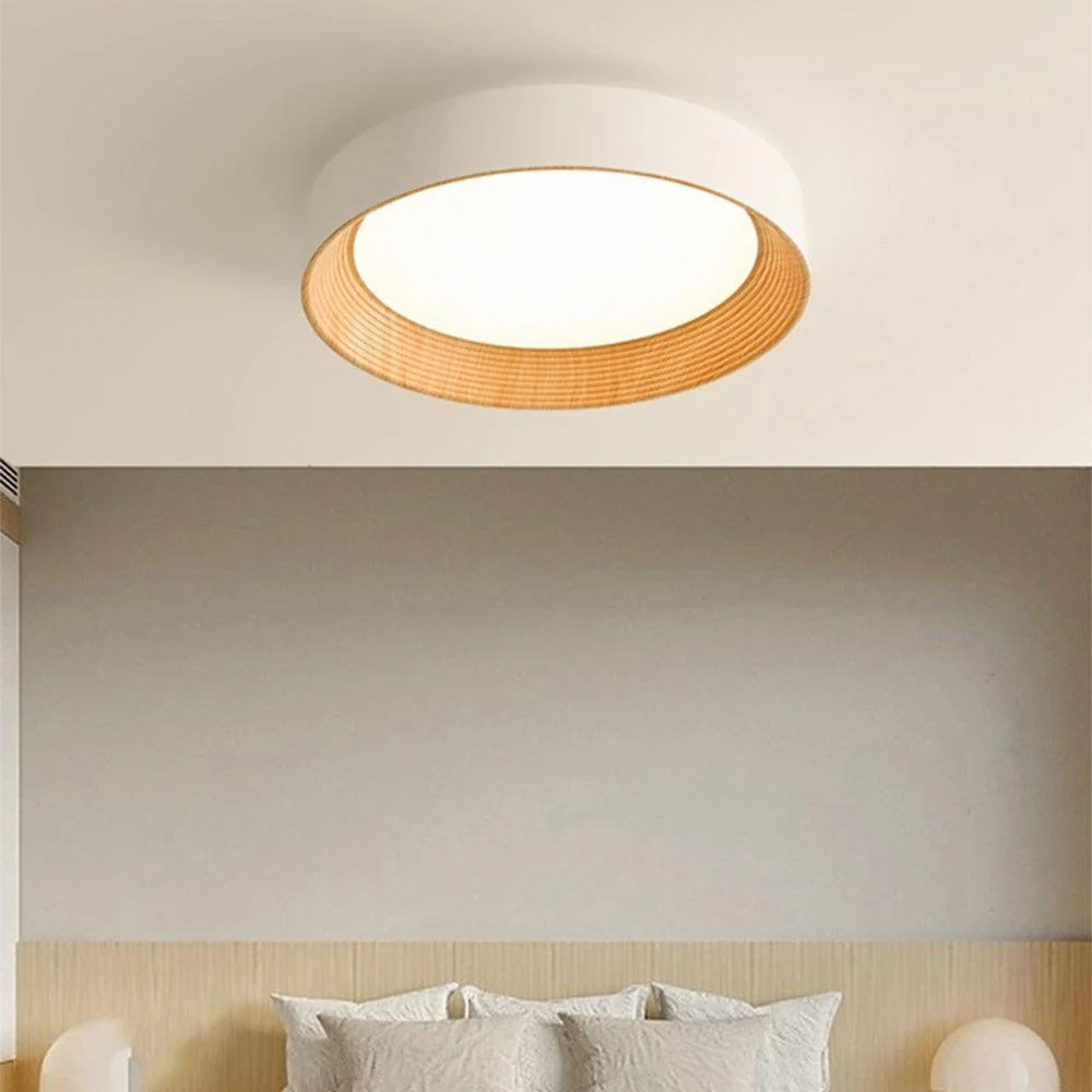 Ledceilinglight 11