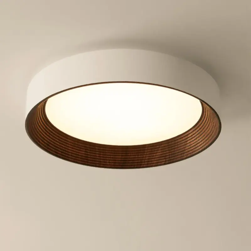 Ledceilinglight