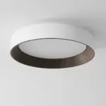 ledceilinglight_13 Ledceilinglight
