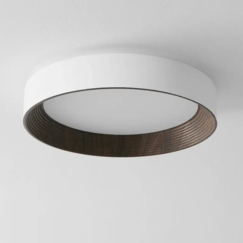 Ledceilinglight