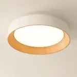 ledceilinglight_14 Ledceilinglight