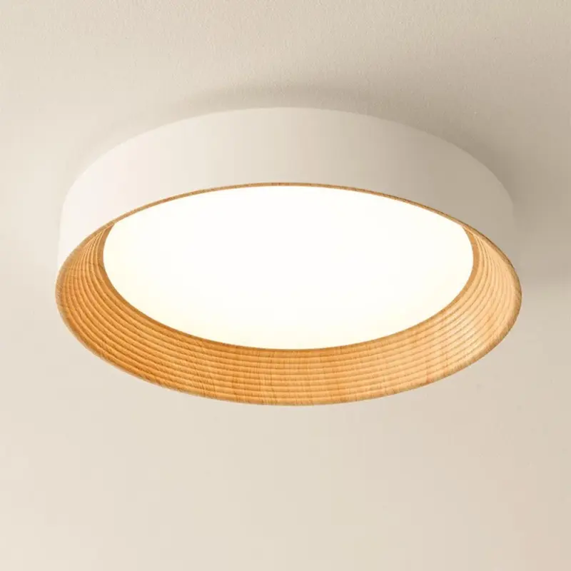 Ledceilinglight