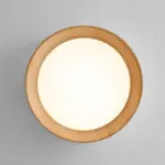 ledceilinglight_16 Ledceilinglight