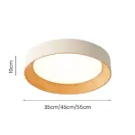 ledceilinglight_17 Ledceilinglight