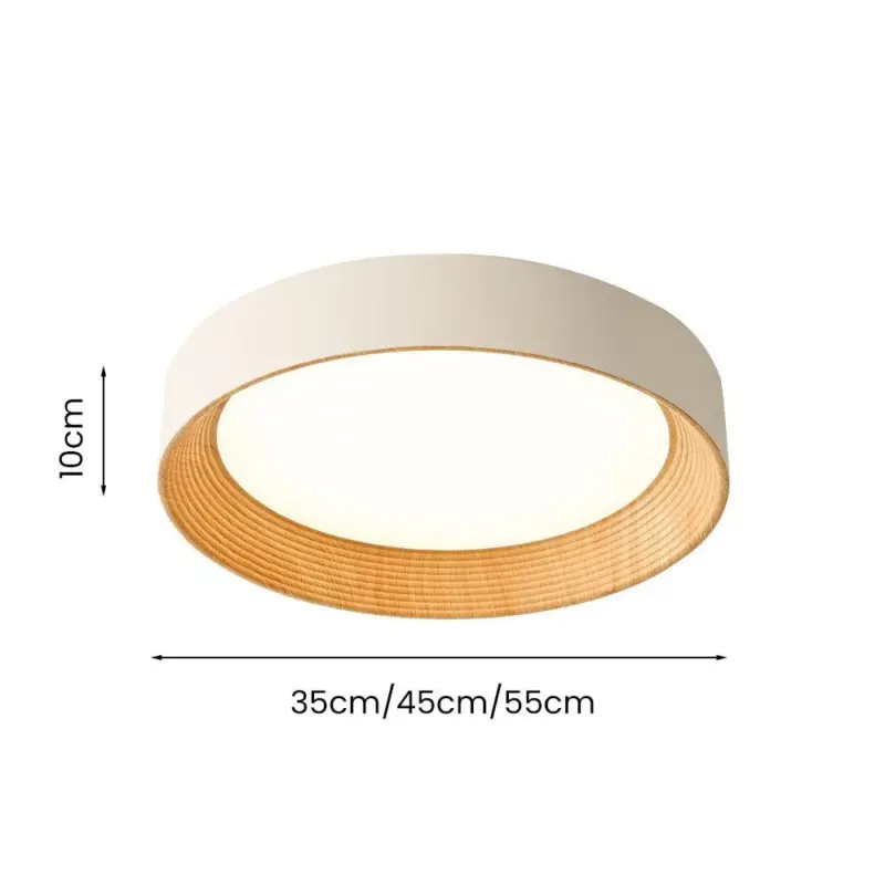 Ledceilinglight