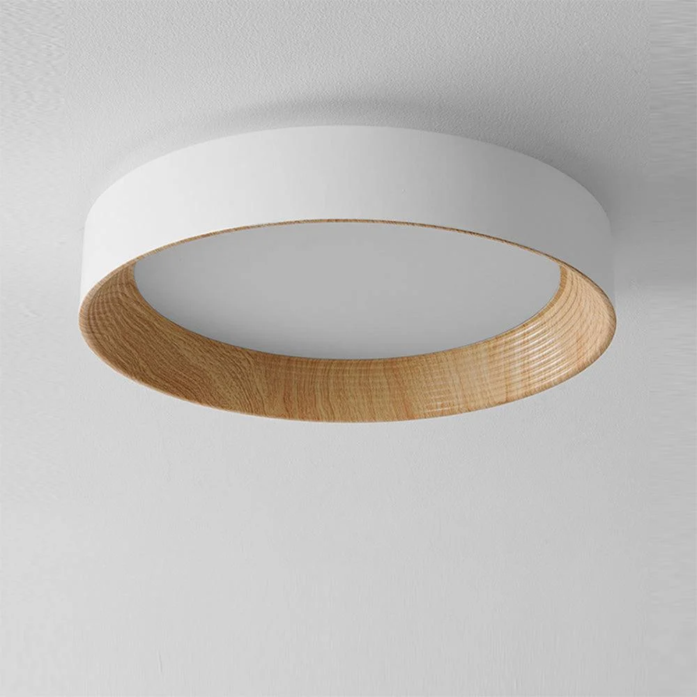 Ledceilinglight 2