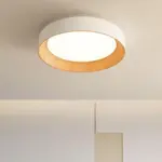ledceilinglight_3 Ledceilinglight