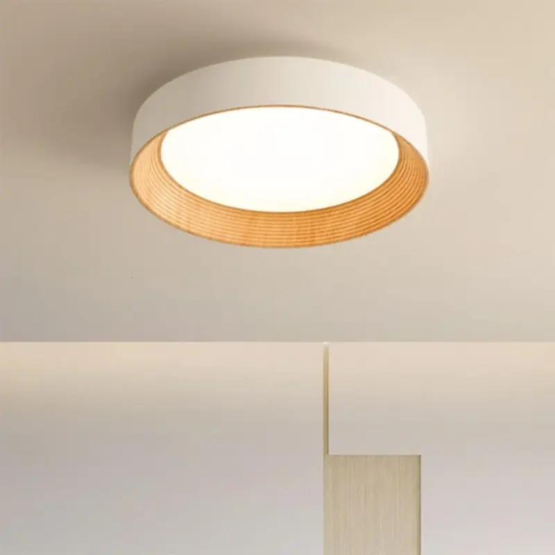 ledceilinglight_3 Ledceilinglight