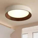 ledceilinglight_5 Ledceilinglight