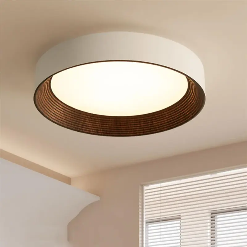 Ledceilinglight