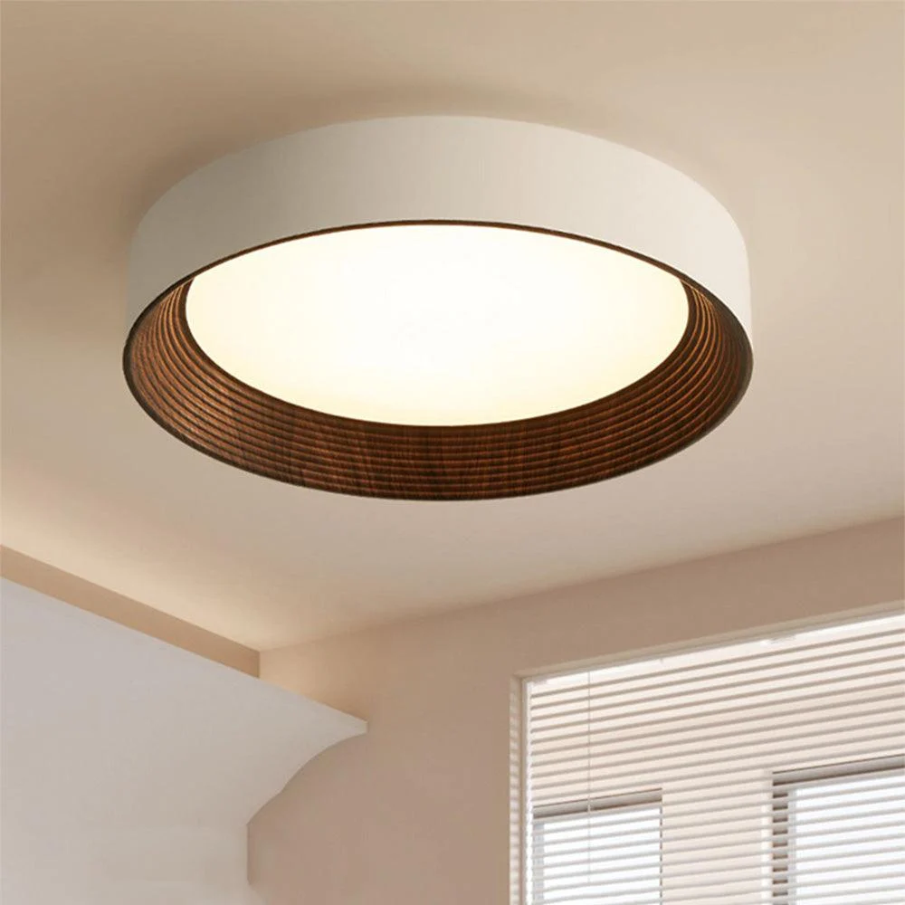 Ledceilinglight 5